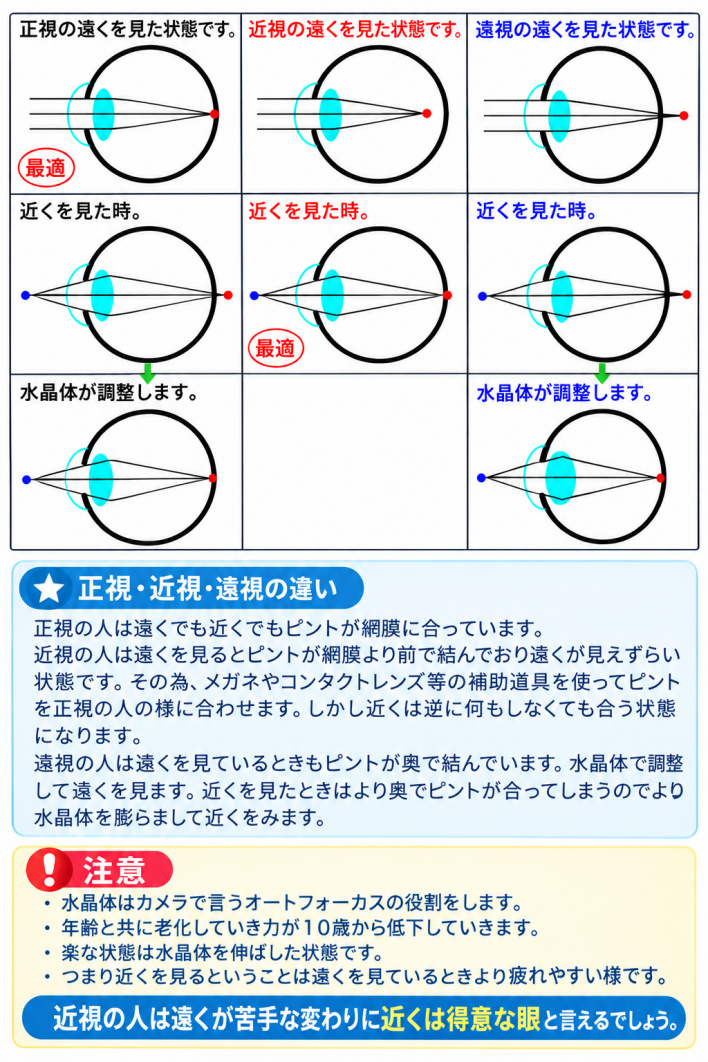 近視・正視・遠視